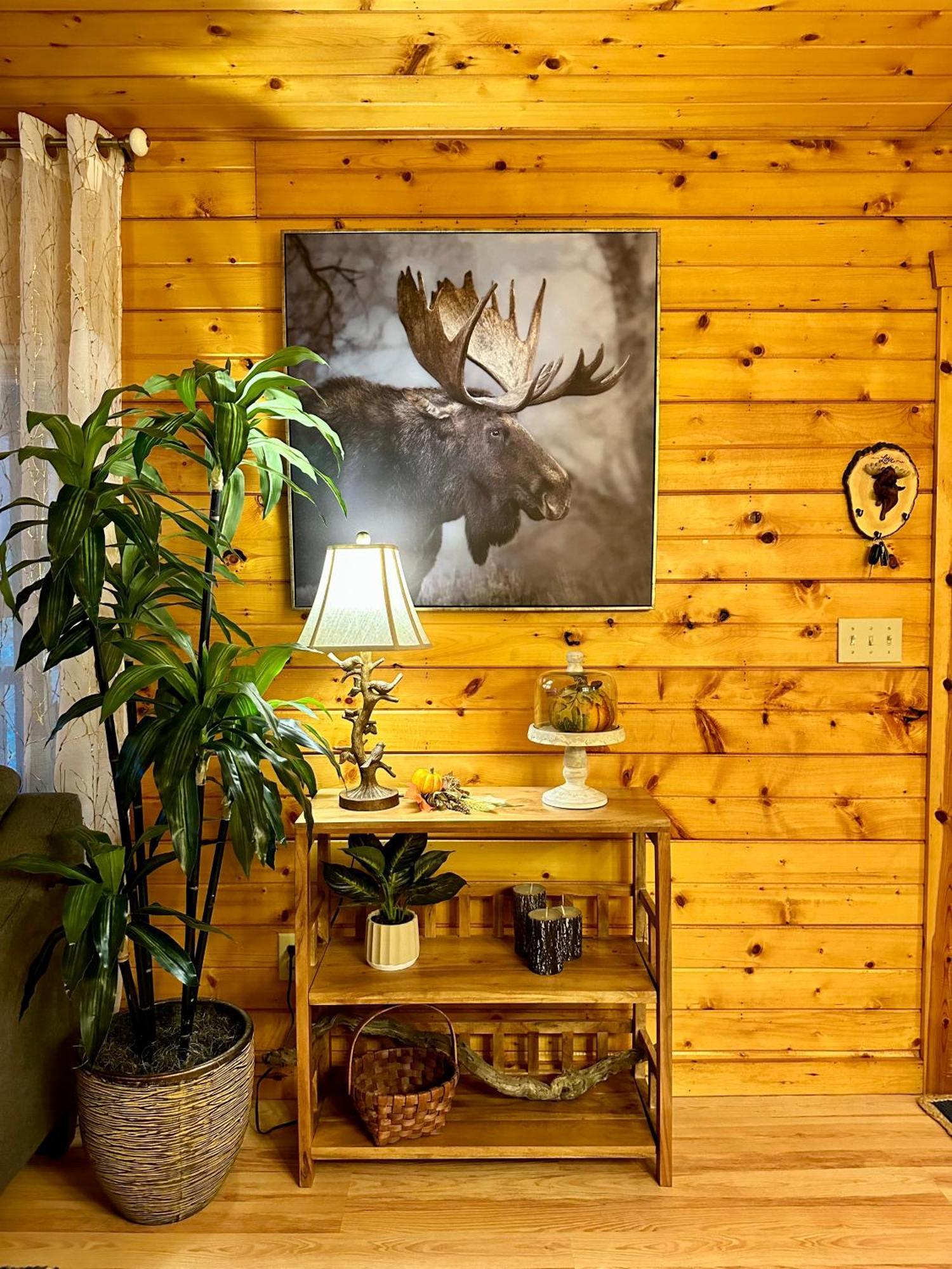 Cozy Cabin In Red River Gorge Rogers Dış mekan fotoğraf