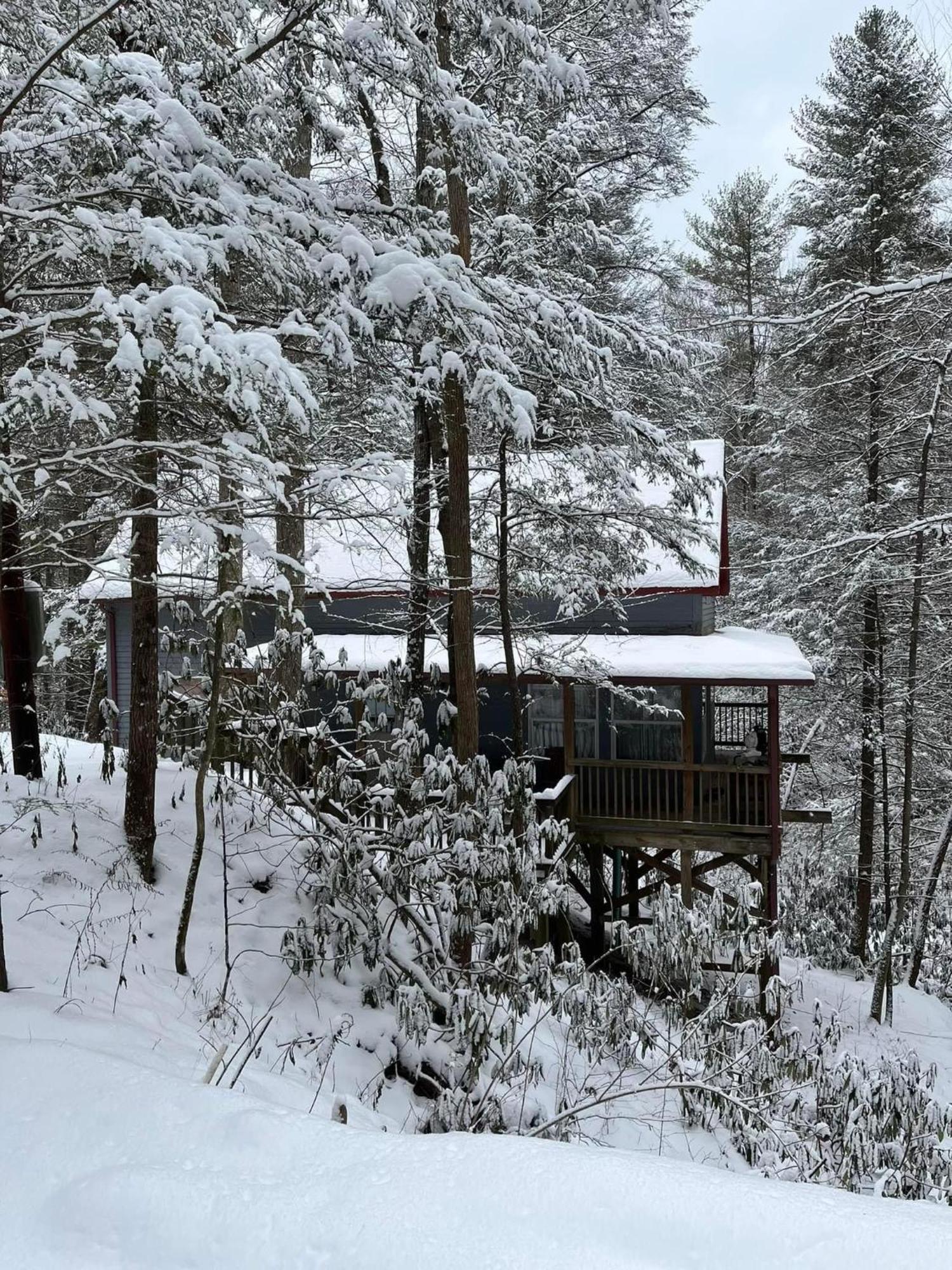 Cozy Cabin In Red River Gorge Rogers Dış mekan fotoğraf